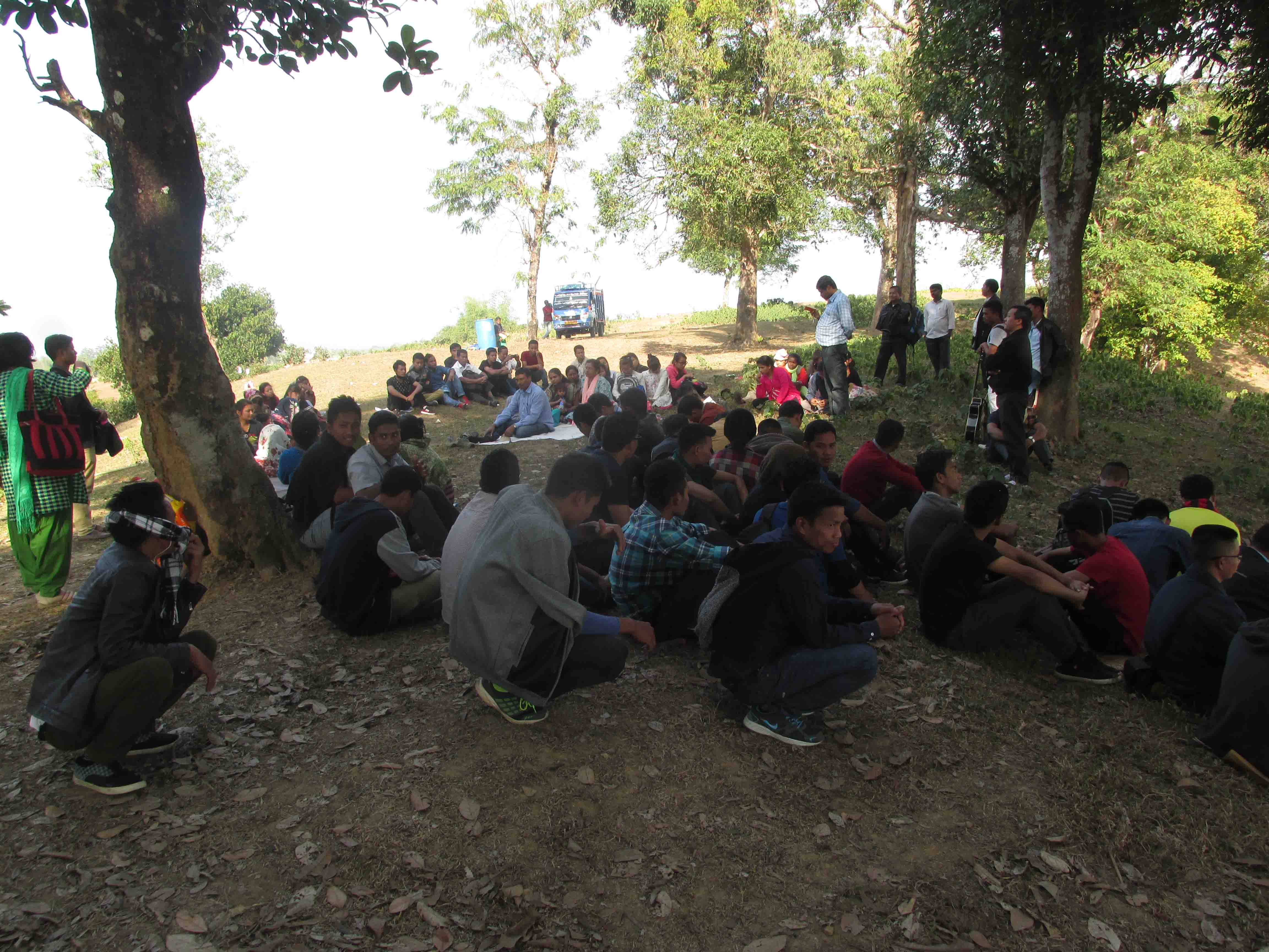 College Picnic